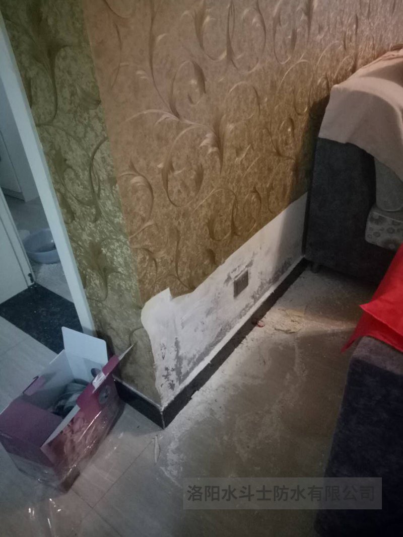 衛生間滲漏維修案例 (24)